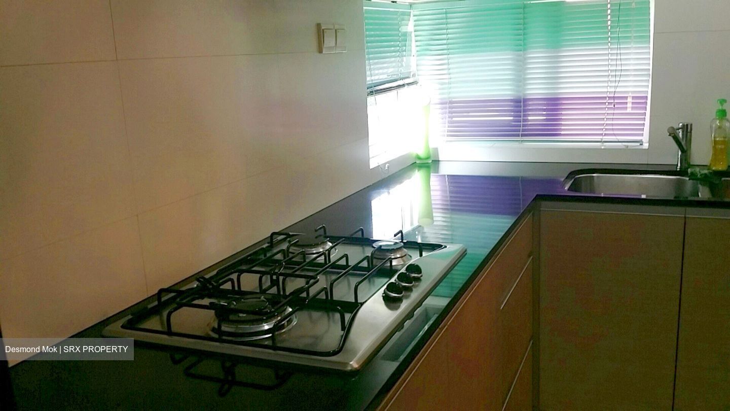 Le Reve (D14), Condominium #556972311